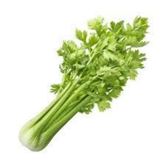  Celery, Raw