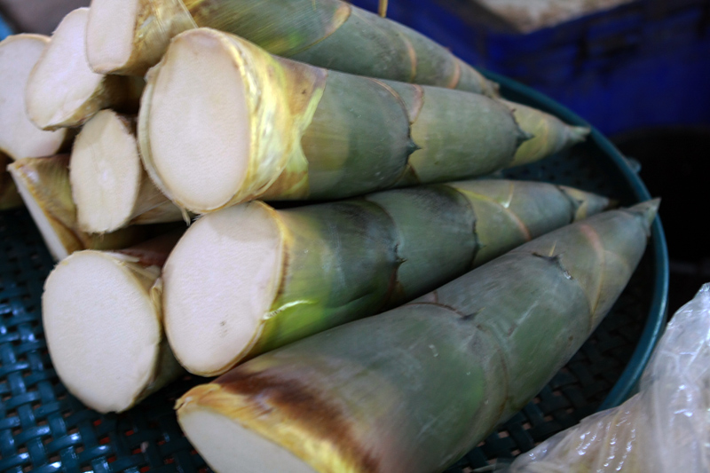 Bamboo shoot, cultivaled