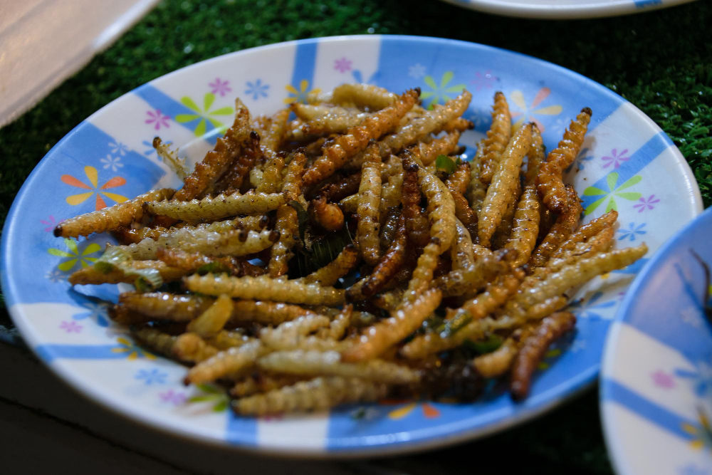 Fried Pupae in bamboo