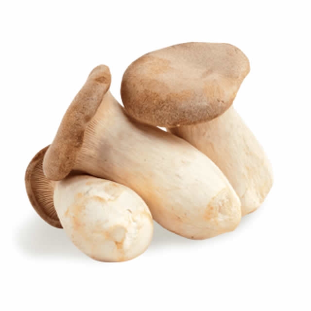 Orinji, Mushroom