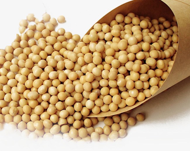 Soybean seeds Nutrition Facts Food Tracker & Calorie Counter site