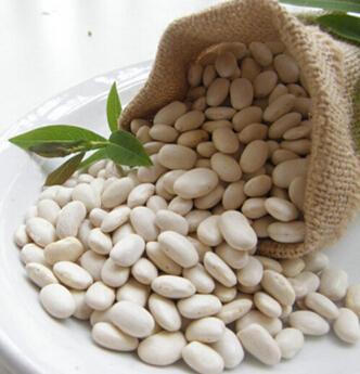 White beans, Raw