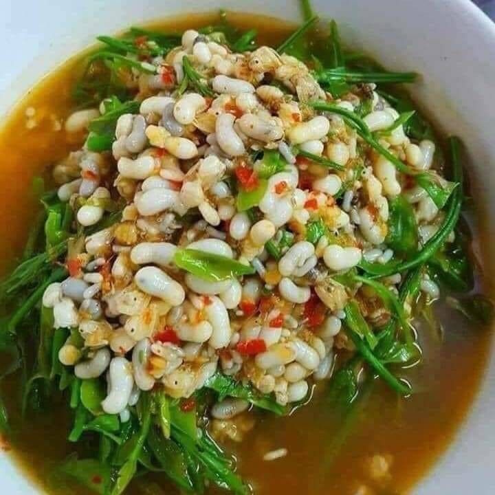 แกงผักหวานไข่มดแดง