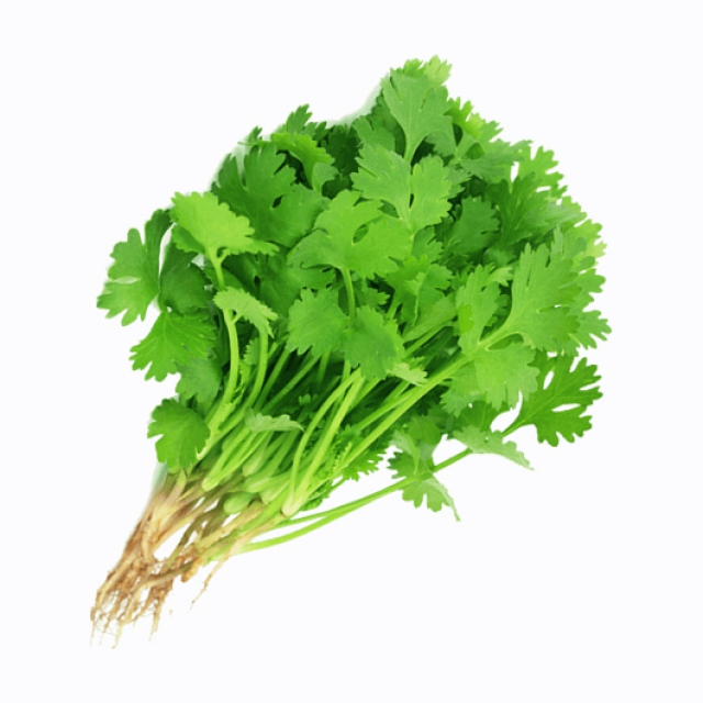 แคลอรี่ ผักชี