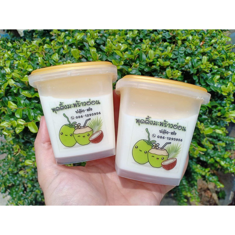 พุดดิ้งมะพร้าวอ่อน