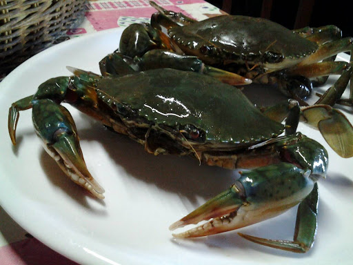 serratedSeafood crab, black crab, raw